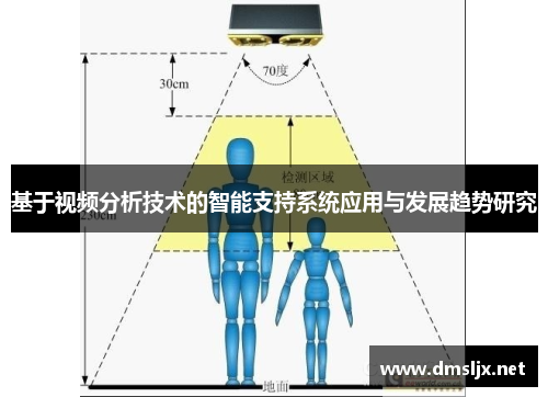 基于视频分析技术的智能支持系统应用与发展趋势研究